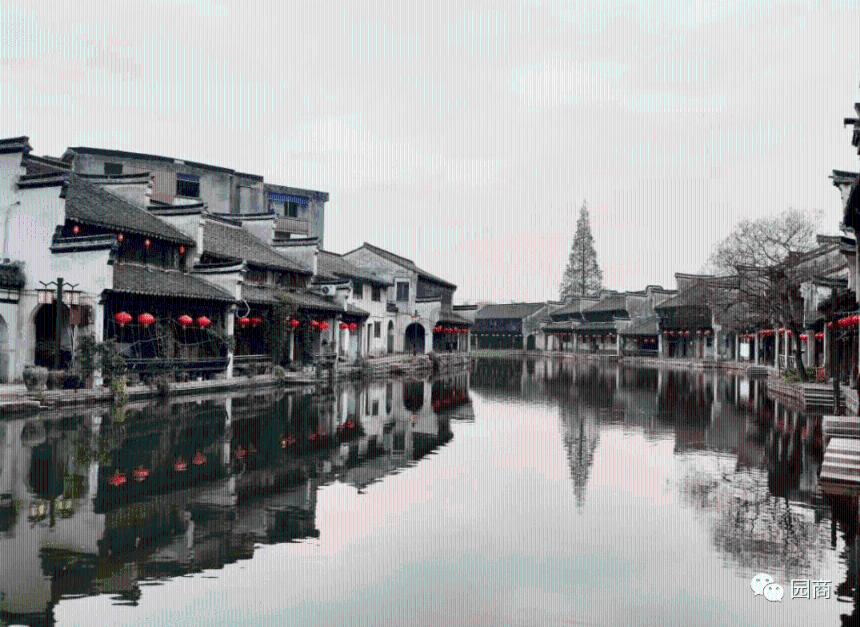 动物帮帮忙保卫家园